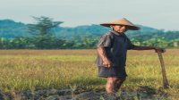 Kebudayaan Sunda : Kepercayaan, Kekerabatan, Politik, Ekonomi dan Kesenian