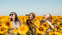 3000 Caption Lucu Singkat, Lucu tentang Cinta, Buat Pacar Dan Lainnnya 3000 Caption Lucu Singkat, Lucu tentang Cinta, Buat Pacar Dan Lainnnya