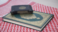Surah An-Naḥl Ayat 66, 68-69 : Bacaan, Terjemah, Mufradat dan Isi Kandungan