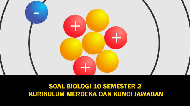 Soal Biologi Kelas 10 Semester 2 Kurikulum Merdeka dan Kunci Jawaban