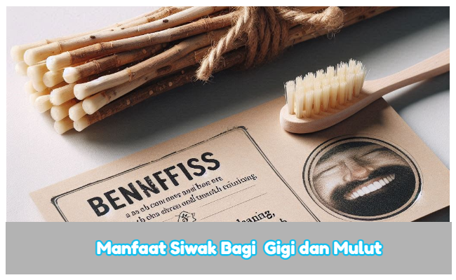 Manfaat Siwak Bagi Gigi dan Mulut : Sejarah, Kandungan Senyawa, Manfaat, Cara Penggunaan dan Tips Praktis