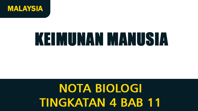 Nota Biologi Tingkatan 4 Bab 11 (Keimunan Manusia)