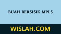 Buah Bersisik MPLS Buah Bersisik MPLS