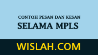 Contoh Pesan dan Kesan Selama MPLS Contoh Pesan dan Kesan Selama MPLS