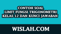 Contoh Soal Limit Fungsi Trigonometri Kelas 12 dan Kunci Jawaban