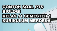 Contoh Soal PTS Biologi Kelas 11 Semester 1 Kurikulum Merdeka