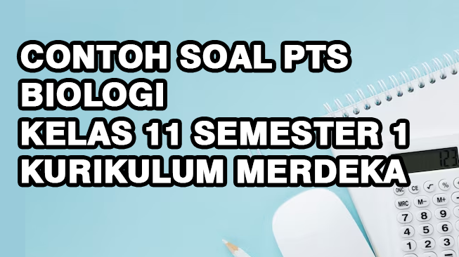 Contoh Soal PTS Biologi Kelas 11 Semester 1 Kurikulum Merdeka