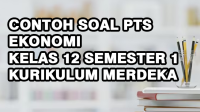 Contoh Soal PTS Ekonomi Kelas 12 Semester 1 Kurikulum Merdeka