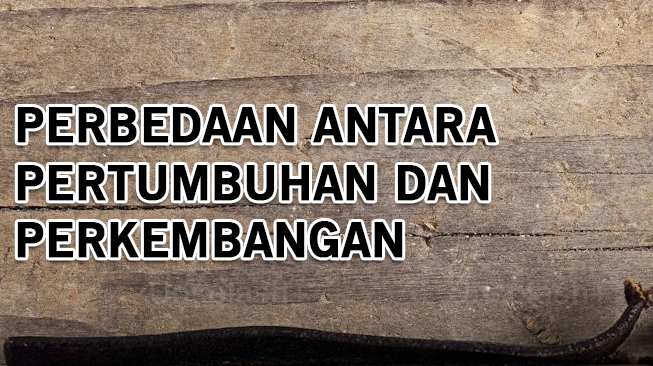 Perbedaan antara Pertumbuhan dan Perkembangan: Definisi, Ciri, Contoh, dan Hubungan