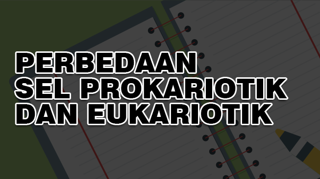 Perbedaan Sel Prokariotik dan Eukariotik